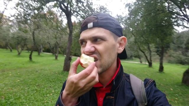 ОБЖОР НА СОЧНОЕ СПЕЛОЕ ЯБЛОКО! КОЛОМЕНСКОЕ! СЕЛО ДЬЯКОВО! ЦАРСКИЙ ЯБЛОНЕВЫЙ САД!