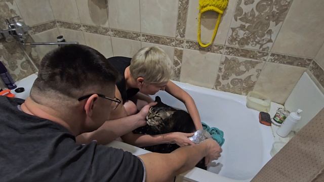Банный день!😼🚿