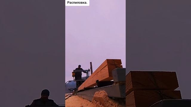 1000003980.mp4