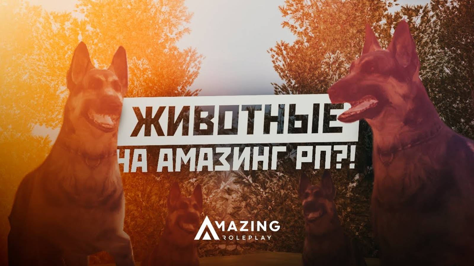 Обычные дни в патруле ГАИ [ Amazing Online ]
