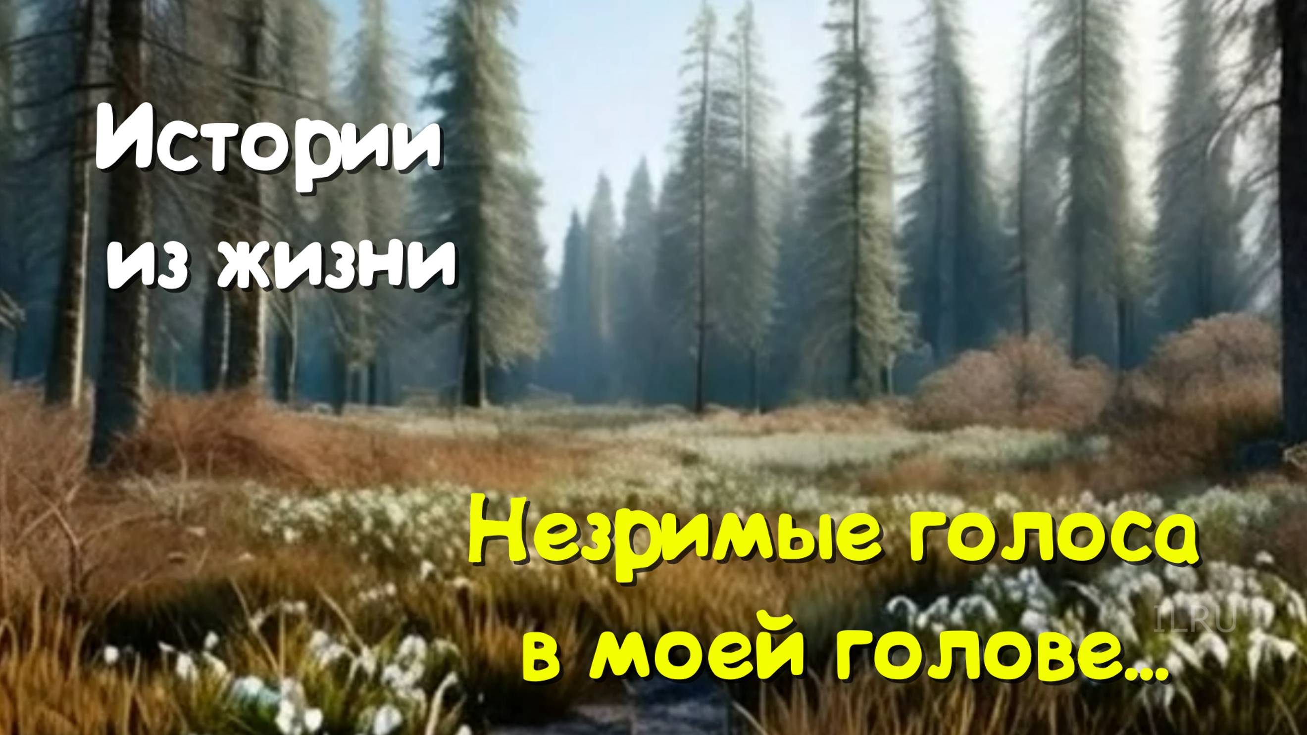 Мистические истории - Незримые голоса в моей голове - Слушать рассказы на рутубе