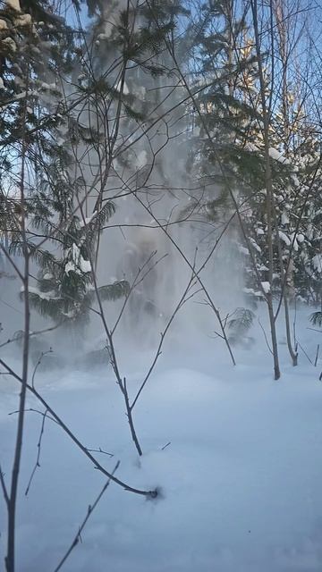 засыпало снегом