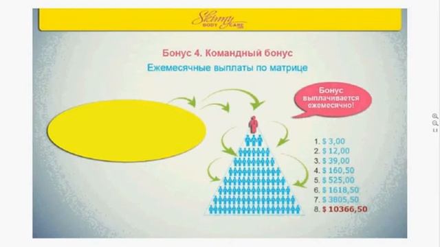 Конференция компании SkinnyBodyCare! Спикер   С Тамашунас 02 02 14 1