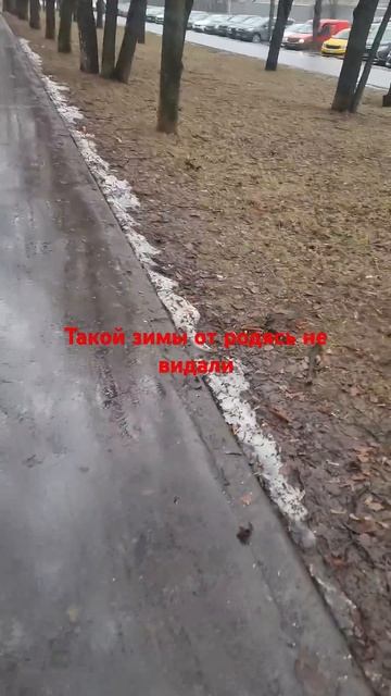 Москва морозная и снежная
