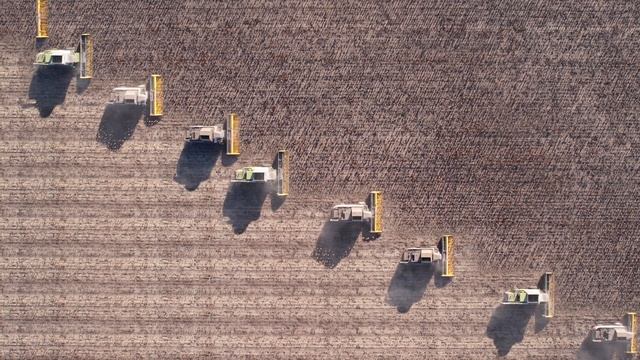 ShowReel Dyshes Production 2024 - Самые яркие проекты года