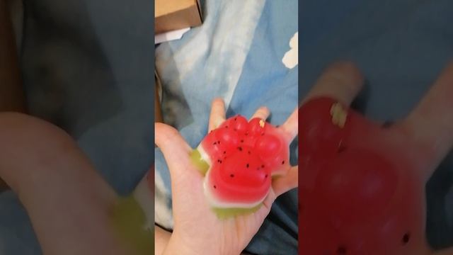 VID_20250130_125434.mp4