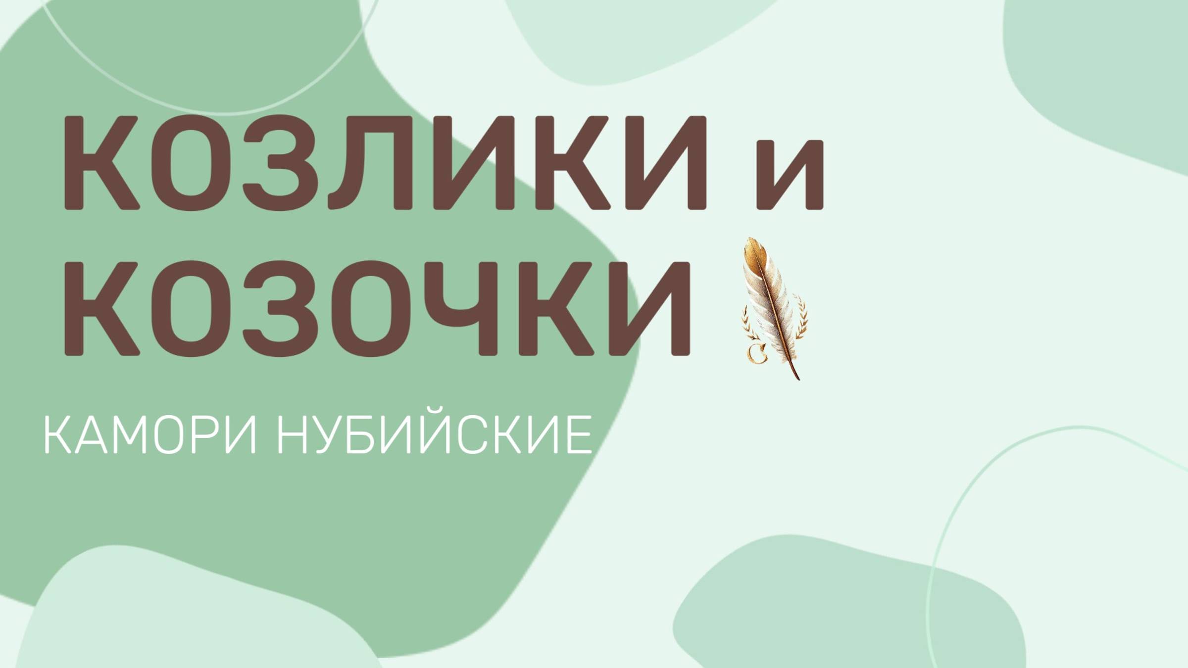 КОЗЛИКИ и КОЗОЧКИ КАМОРИ НУБИЙСКИЕ