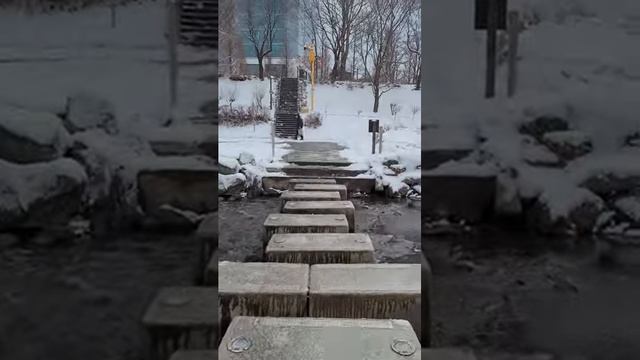 푹푹 눈을 밟으며, 양재천 산책 SEOUL  MORNING WALK