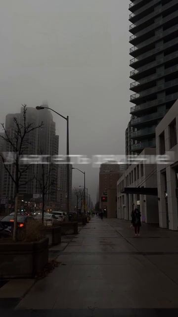 Страницы в тренде