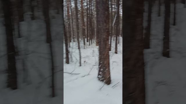 1000372125.mp4