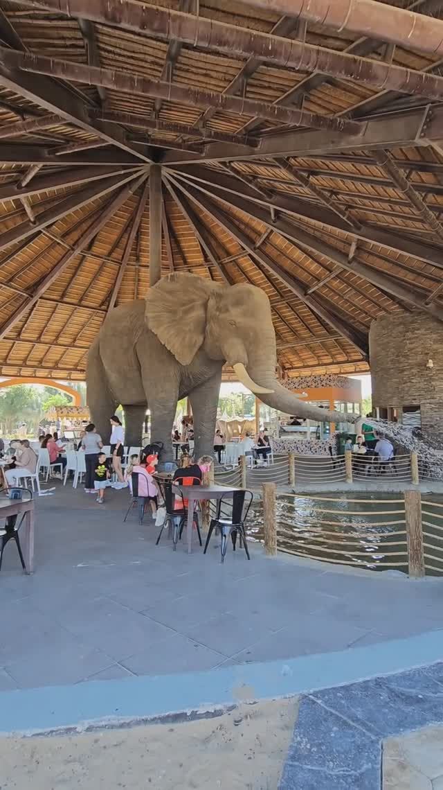 ЗООПАРК в ДУБАЕ🦍🦒🐘🦛🦓