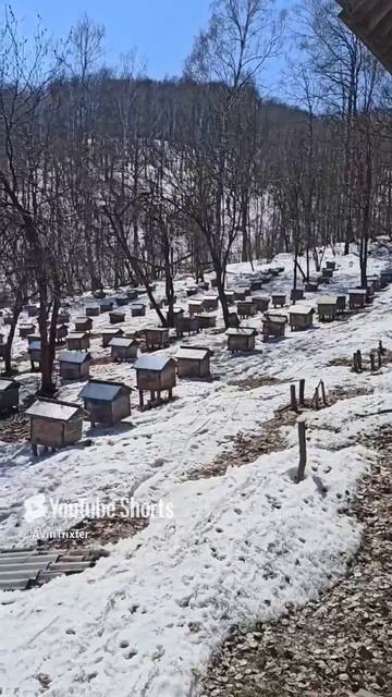 Окрытие сезона 2023