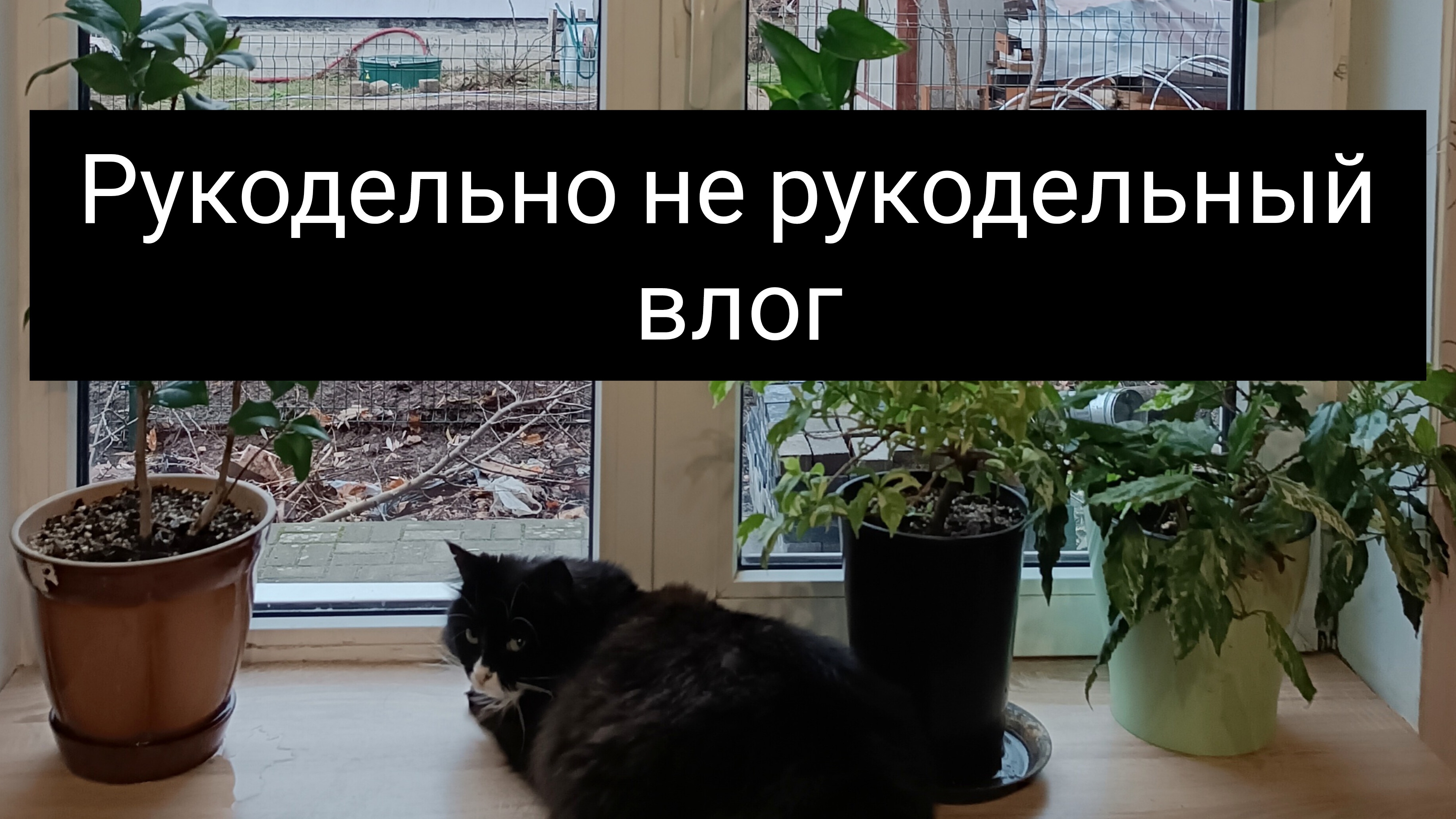рукодельно не рукодельный влог январь#4