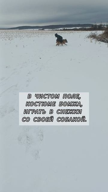 Счастье собачника