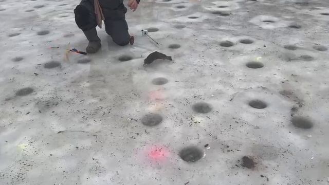 Поимка на резину