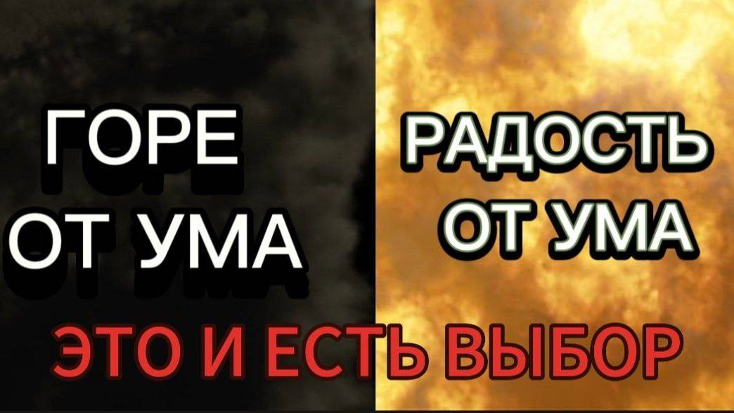 ГОРЕ ОТ УМА РАДОСТЬ ОТ УМА ЭТО И ЕСТЬ ВЫБОР