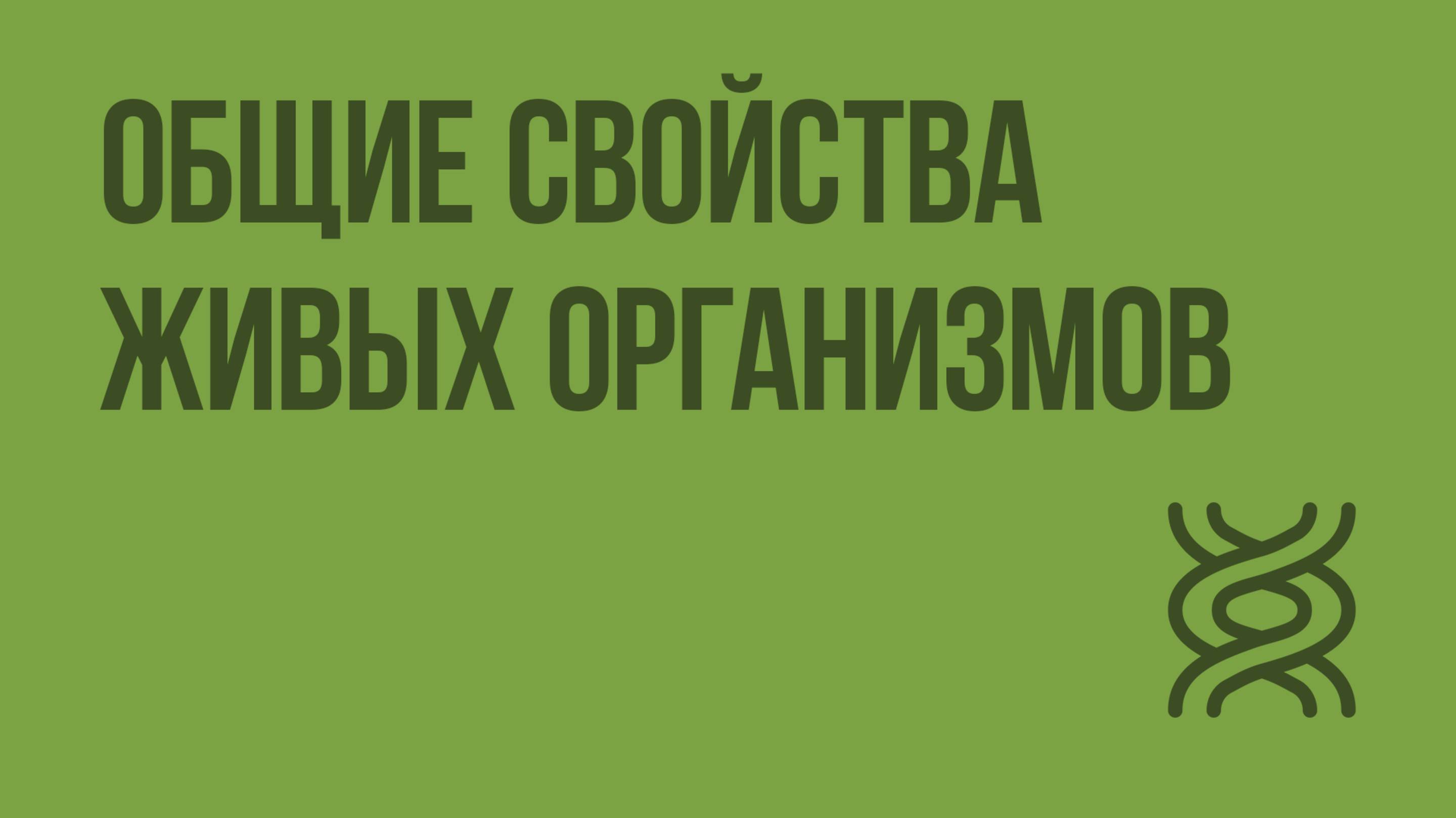 Общие свойства живых организмов. Видеоурок по биологии 9 класс