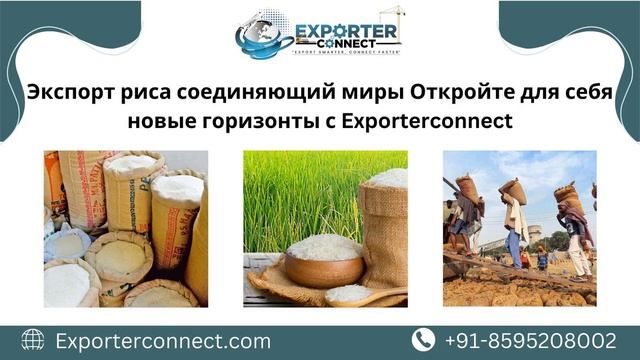 Экспортер Рис | Производитель Рис | Поставщик Рис | Крупнейший экспортер Рис в мире