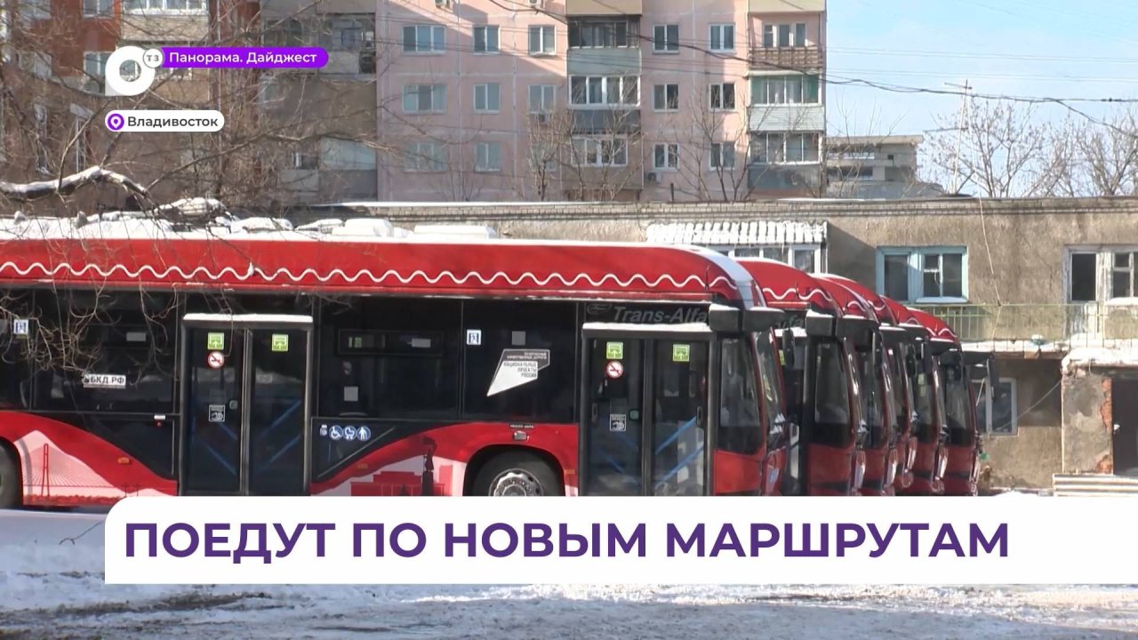 Новый троллейбусный маршрут запустят во Владивостоке в текущем году
