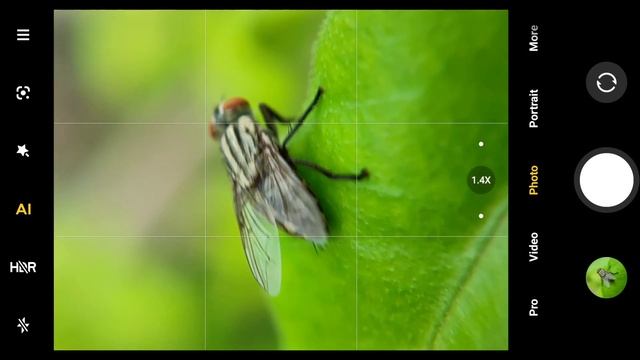 Apexel 18x Macro lense test / Shahgee47