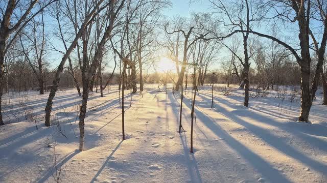 Выходной день