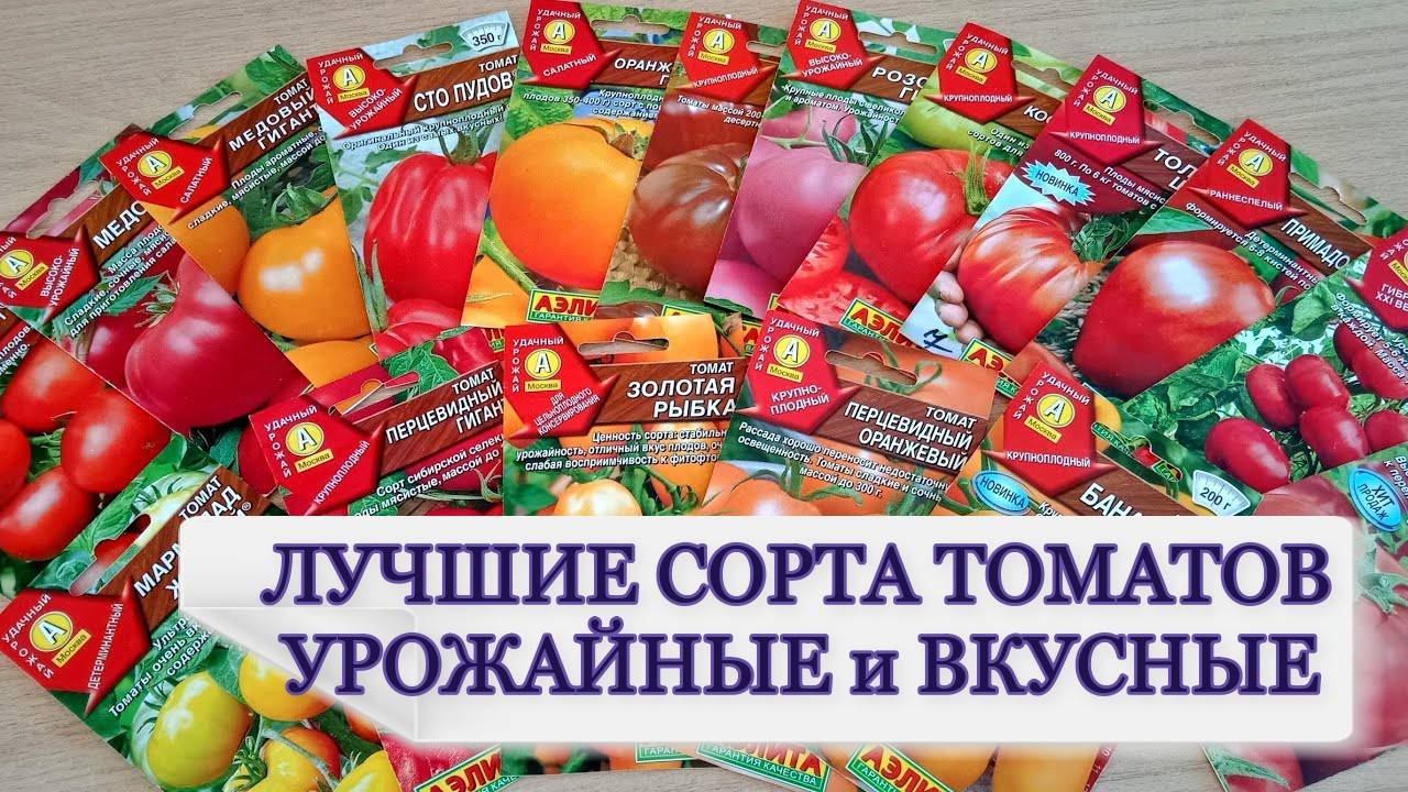 ЛУЧШИЕ СОРТА И ГИБРИДЫ ТОМАТОВ, ПРОВЕРЕНЫ ВРЕМЕНЕМ.☑️