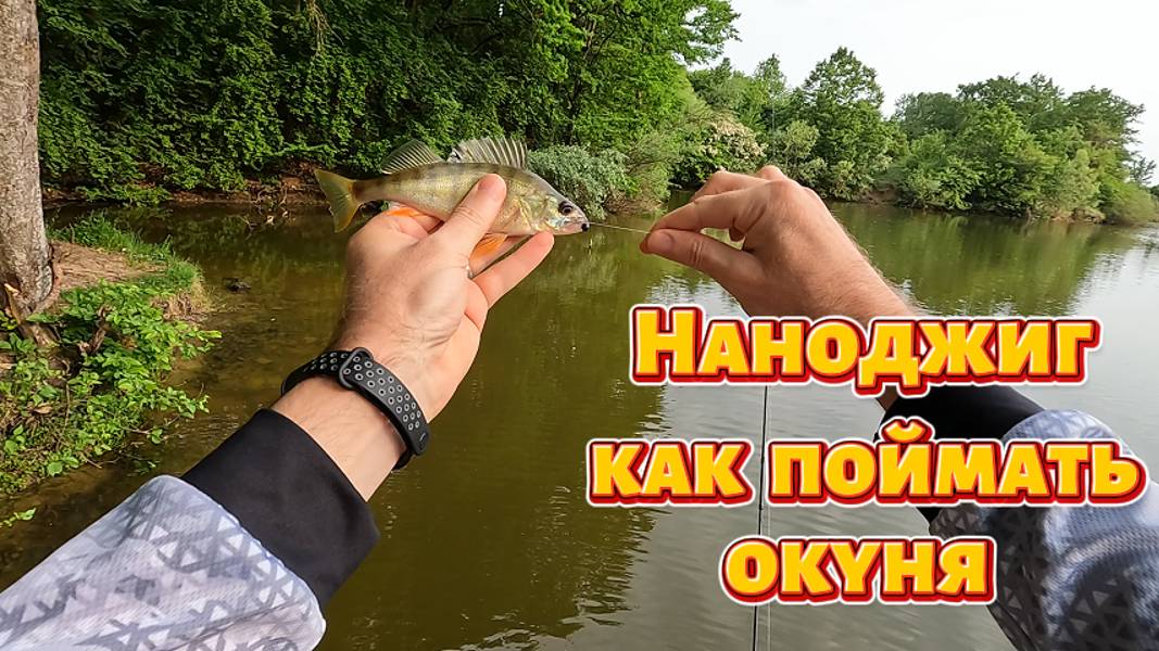 Наноджиг. Как поймать окуня.
