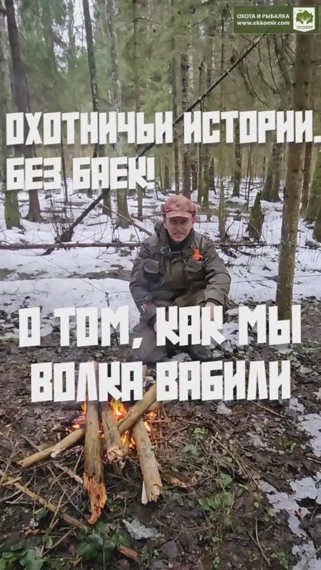 Охотничьи истории. Как мы вабили волков. Без баек.