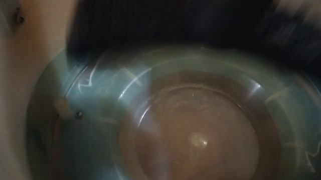 VID_20250130_012001
