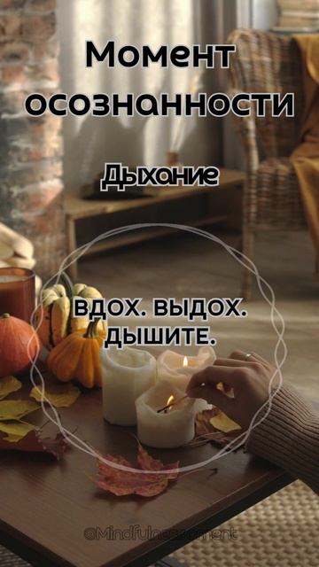 Момент осознанности: ваш ежедневный кусочек безмятежности