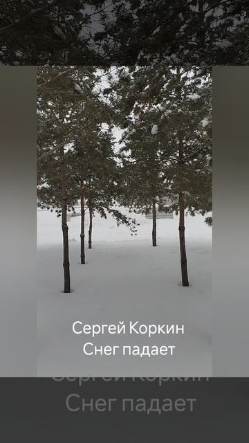 Сергей Коркин "Снег падает"