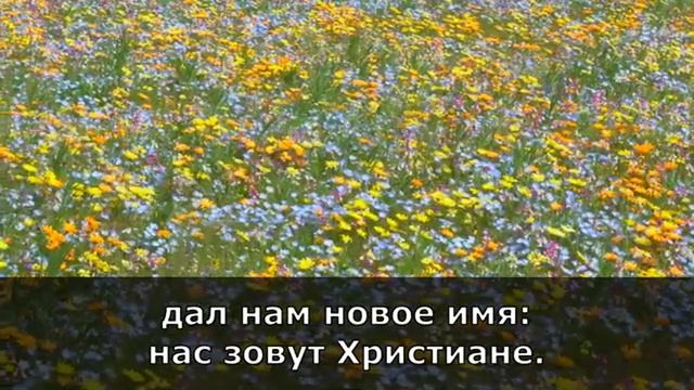 Манит сердце мечтою. Христианское караоке