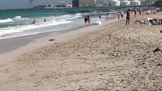 Дикий пляж 🏖️.Шарджа. ОАЭ 🇦🇪