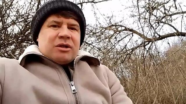 Отобранные пенсии.