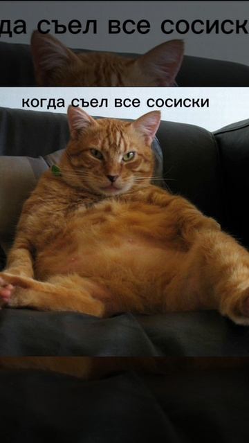 мемасы от мемасни