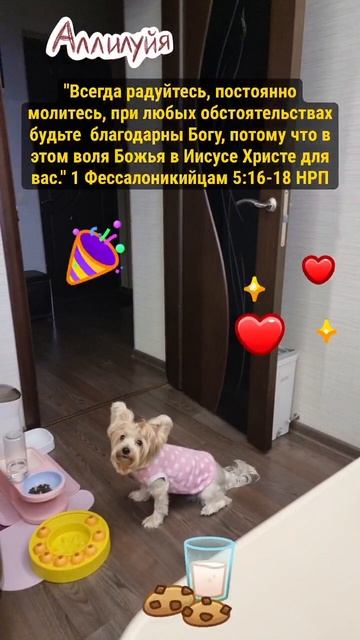 За всё благодарите!!!