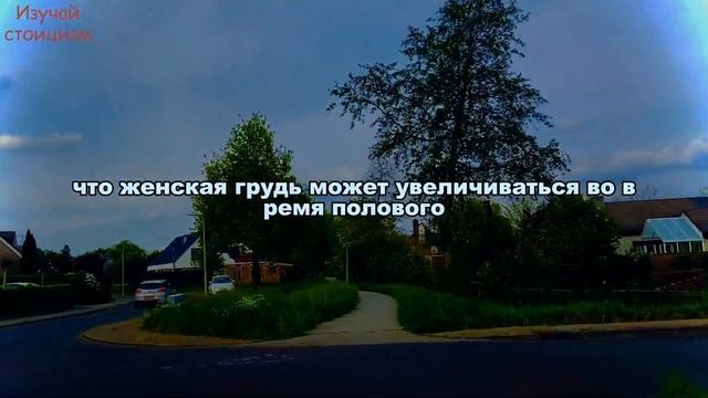 Как ваше подсознание контролирует ваше поведение: 7 шокирующих фактов!