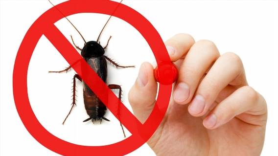 УЛЬТРАЗВУКОВОЙ ОТПУГИВАТЕЛЬ ГРЫЗУНОВ ТАЙФУН ЛС 600 ❌ ОТПУГИВАТЕЛЬ MR 801