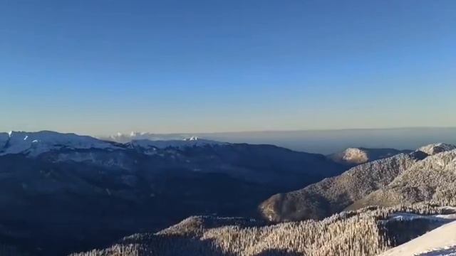 Альпика👀  И пусть весь мир подождет