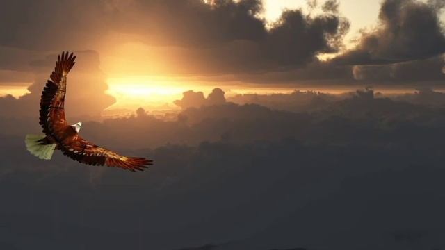 1000041329.mp4