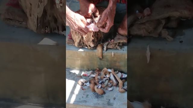 ছাগলের পা থেকে চামড়া ছাড়ানোর সহজ উপায় - Best way to remove skin from Goat leg