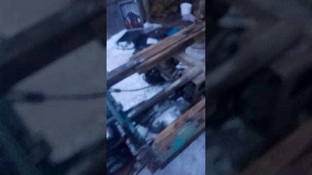 муровей