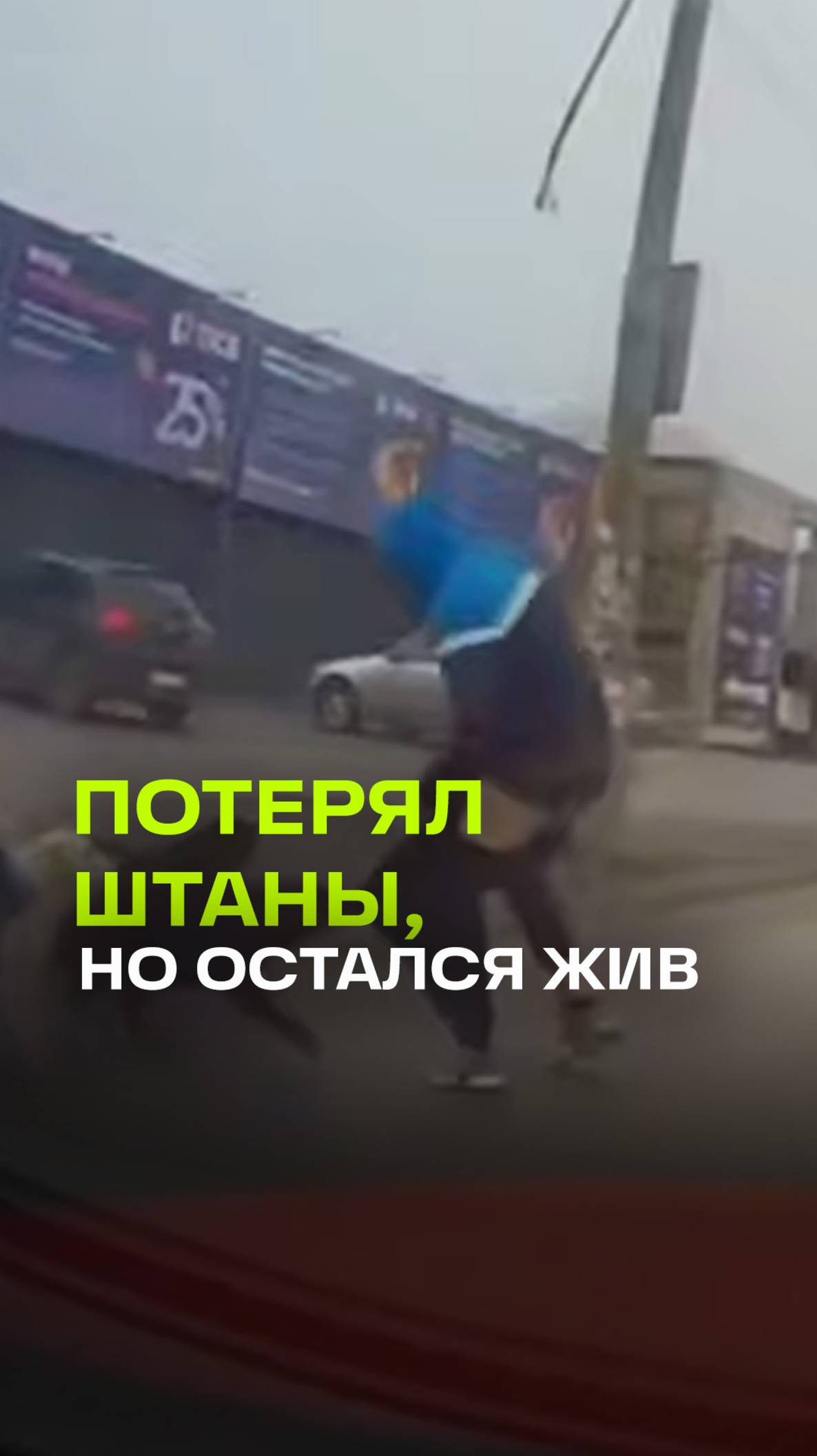 Остался без штанов, но сохранил содержимое: автомобилист спас прохожего от стаи собак