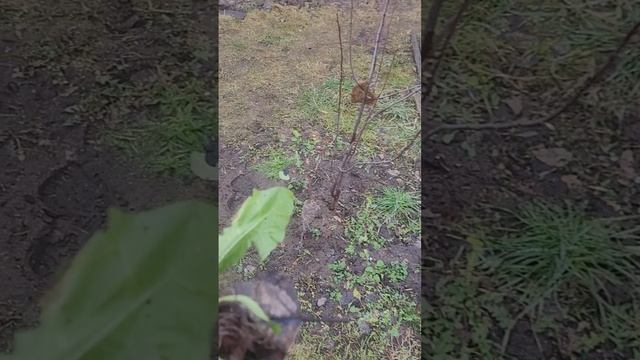 1000261890.mp4