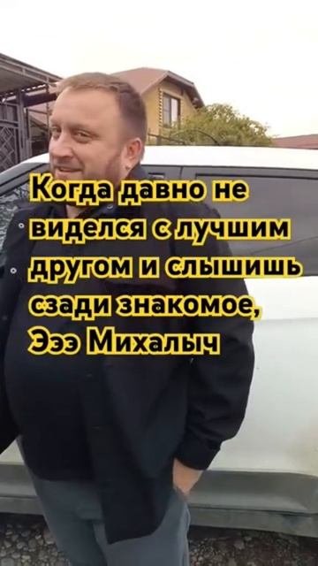 встреча друзей