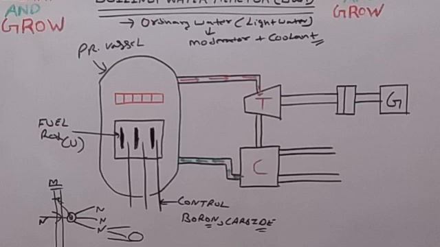 Boiling Water Reactor (BWR) (हिन्दी )