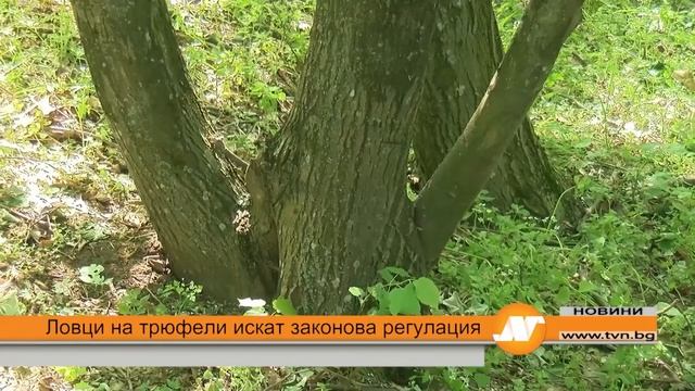 Емисия новини 21:30 часа Русе 6 май