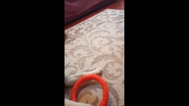 Влог 24 часа? Что делает блогер на выходных!