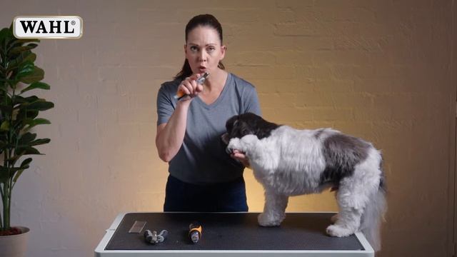Trimming Dogs 🐶 Nails EASILY & SAFELY! 🐾✔️