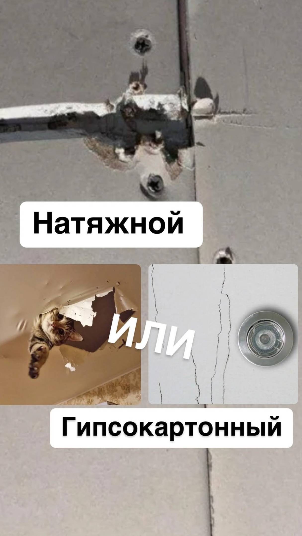 Какой потолок любят дизайнеры? И почему? Делитесь в комментариях!